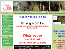 Tablet Screenshot of binghoehle.de
